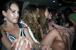 意大利性孕交hd